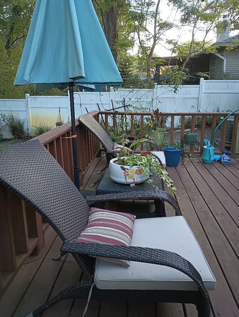 Furnished Finder property 502833_1 photo 11