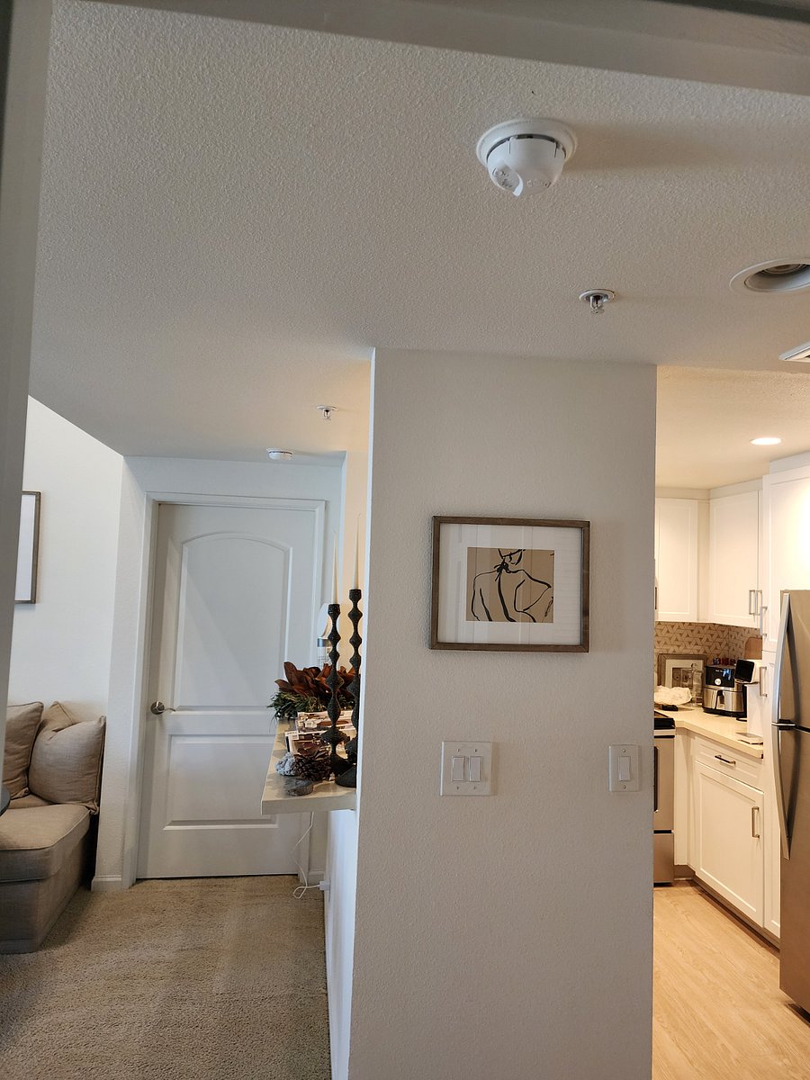 Furnished Finder property 503064_1 photo 8