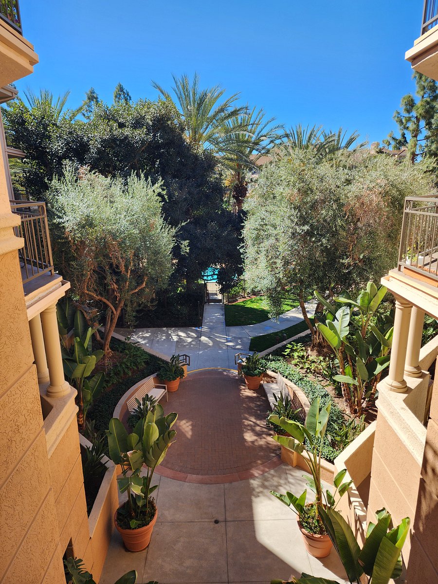 Furnished Finder property 503064_1 photo 27