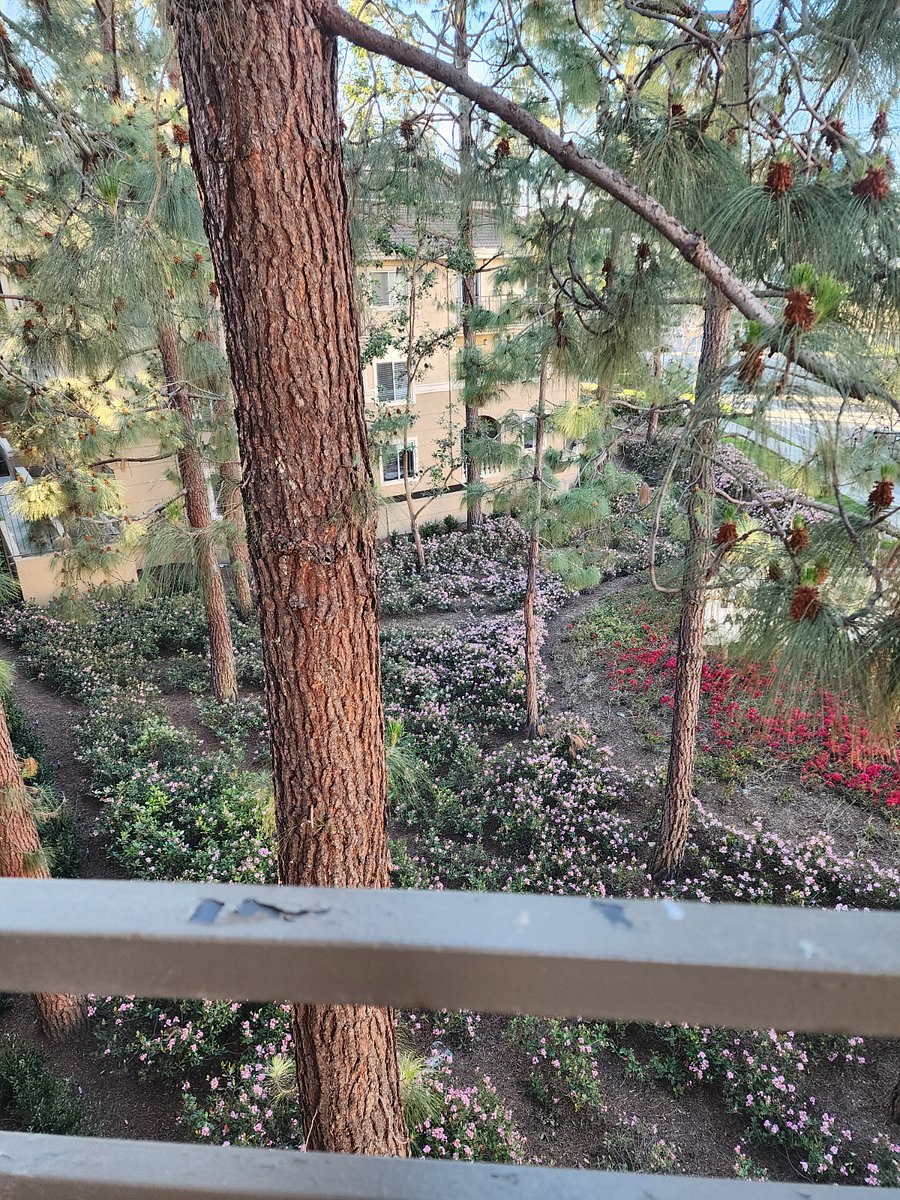 apartment balcony