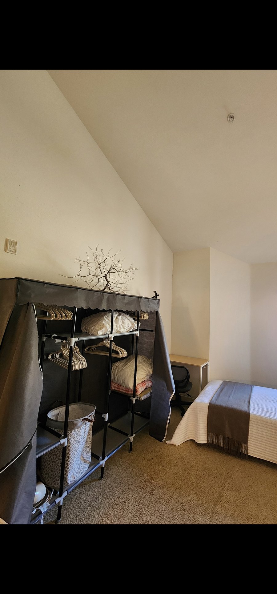 Furnished Finder property 503064_1 photo 18