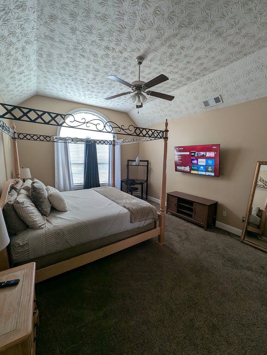 Furnished Finder property 503123_1 photo 37
