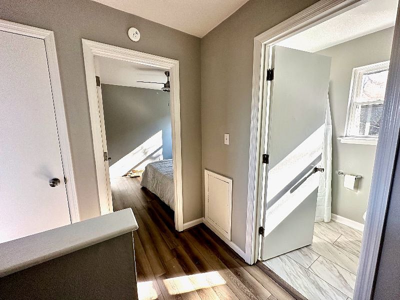 Furnished Finder property 503137_1 photo 20