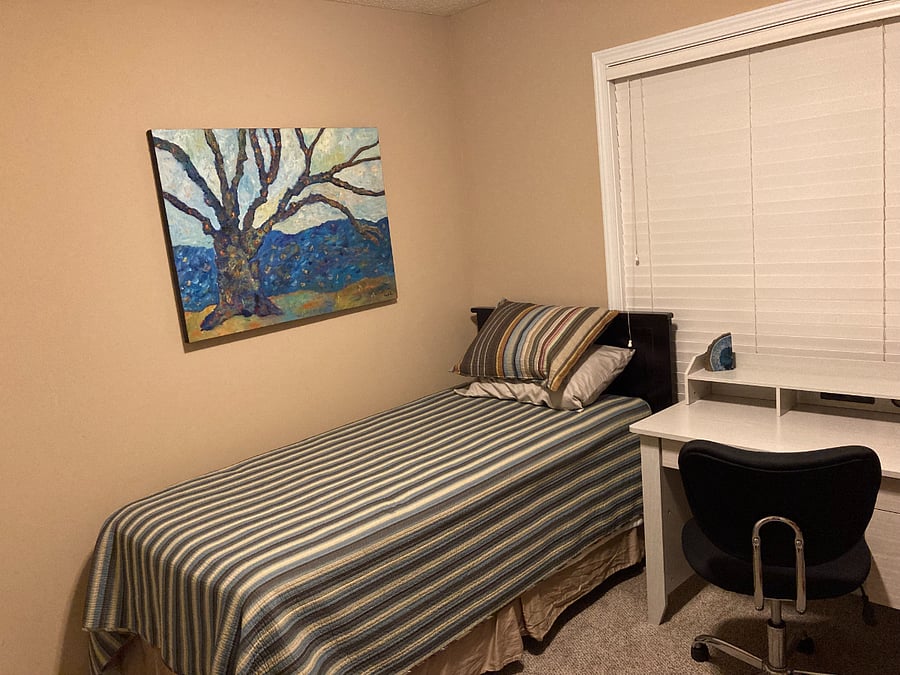 Furnished Finder property 503211_1 photo 5