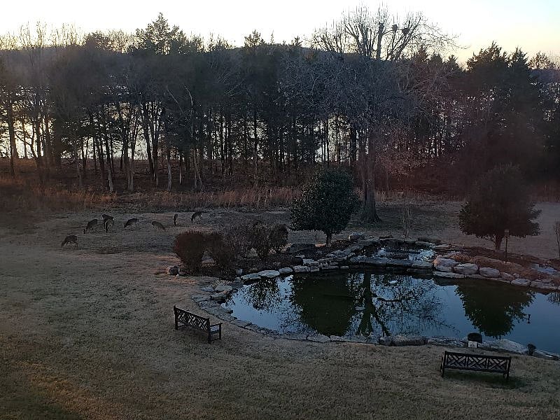 Note the deer!
