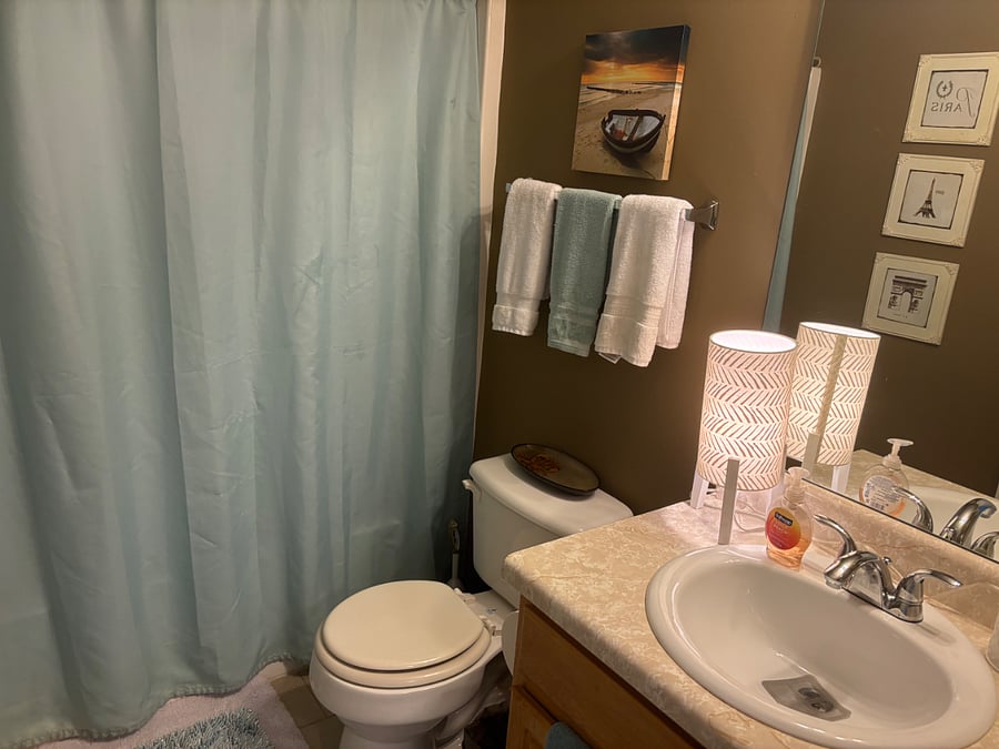 Furnished Finder property 503383_1 photo 14