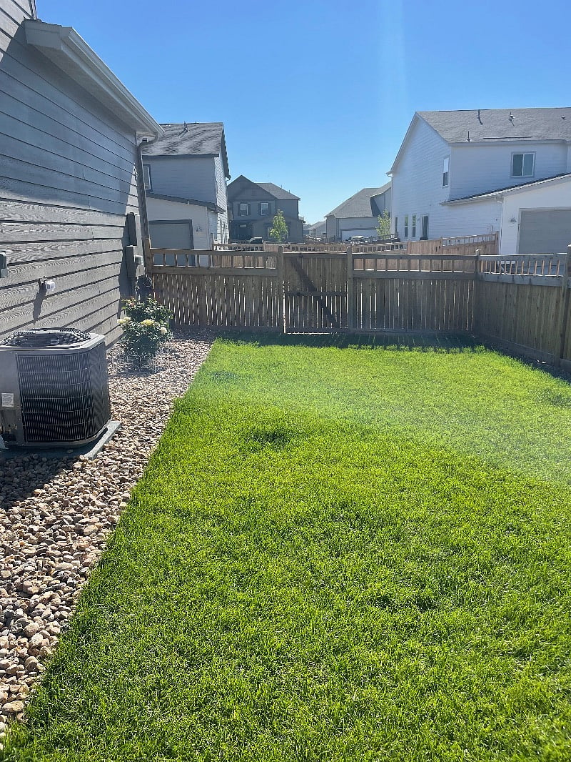 Backyard fenced in