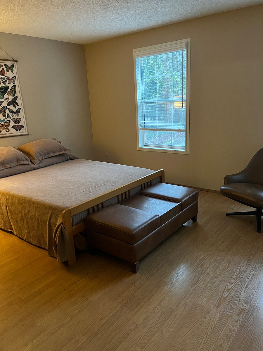 Furnished Finder property 503410_1 photo 5
