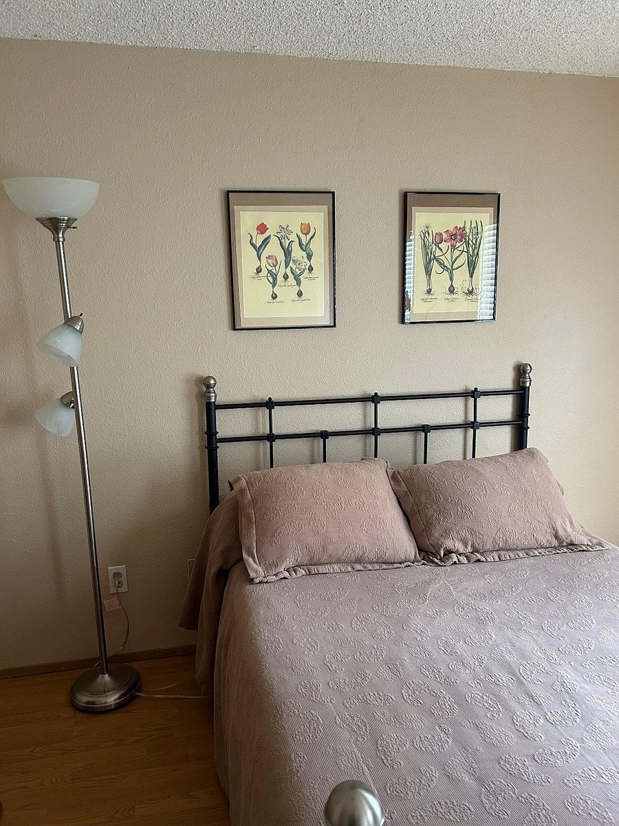Furnished Finder property 503410_1 photo 4