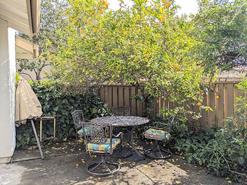 Furnished Finder property 503449_1 photo 12