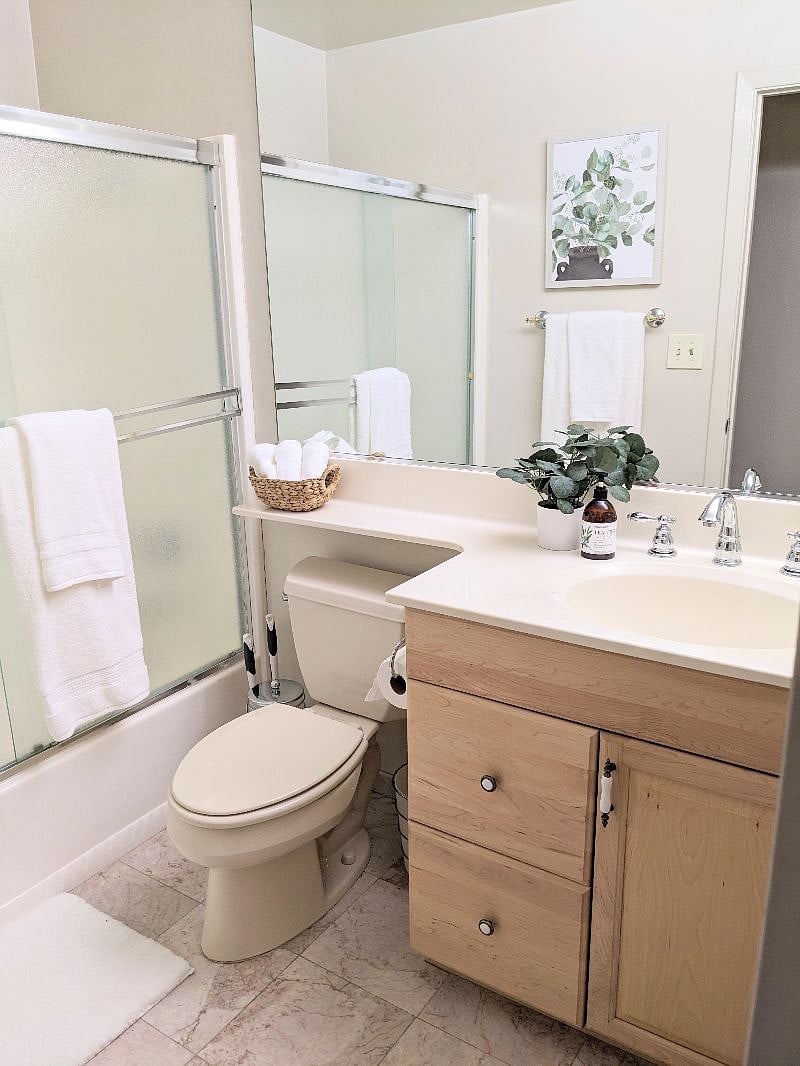 Furnished Finder property 503449_1 photo 13