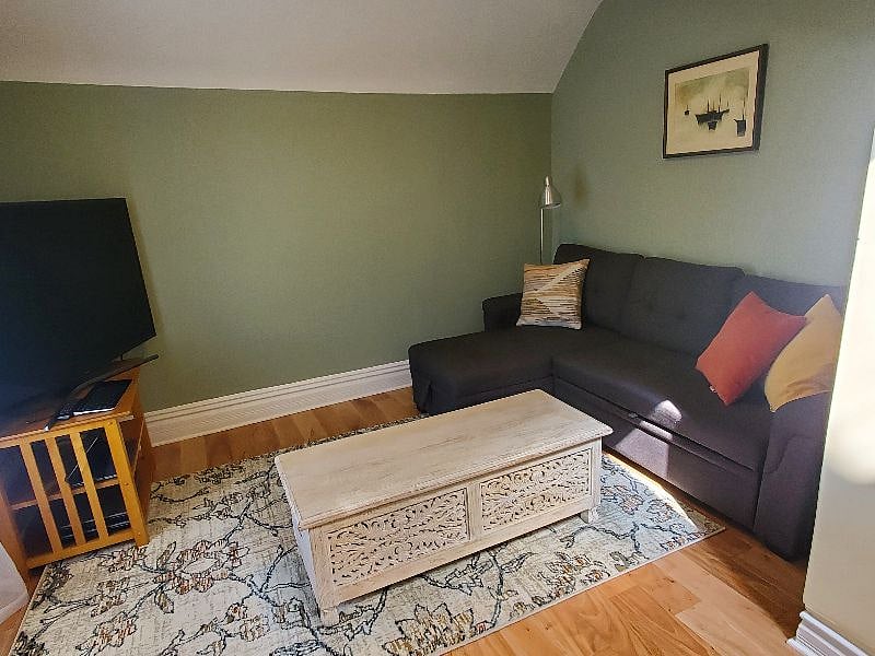 Living room with convertible sofa 