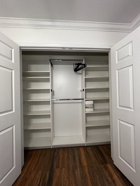 Large Closet in Smaller Queen Bedroom
