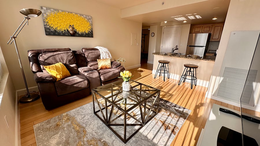 Furnished Finder property 503569_1 photo 51