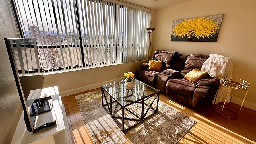 Furnished Finder property 503569_1 photo 65