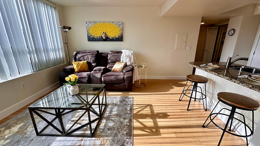 Furnished Finder property 503569_1 photo 53