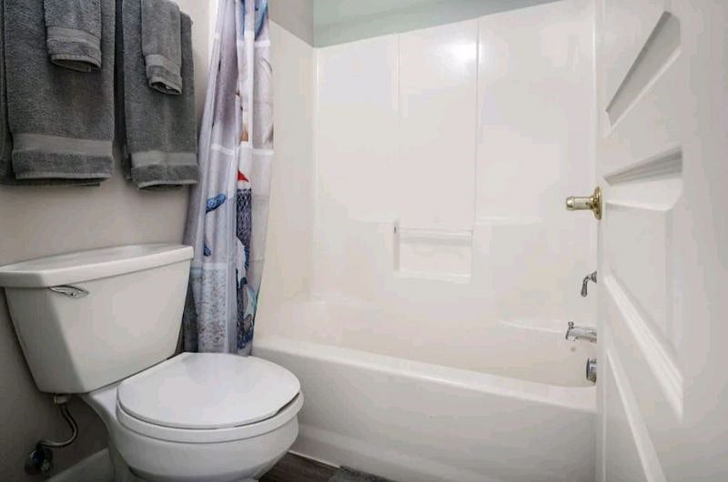 Furnished Finder property 503792_1 photo 11