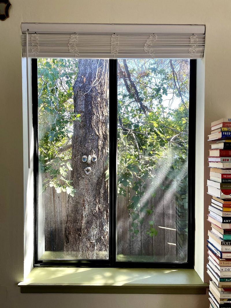 Screens and blinds on all windows.