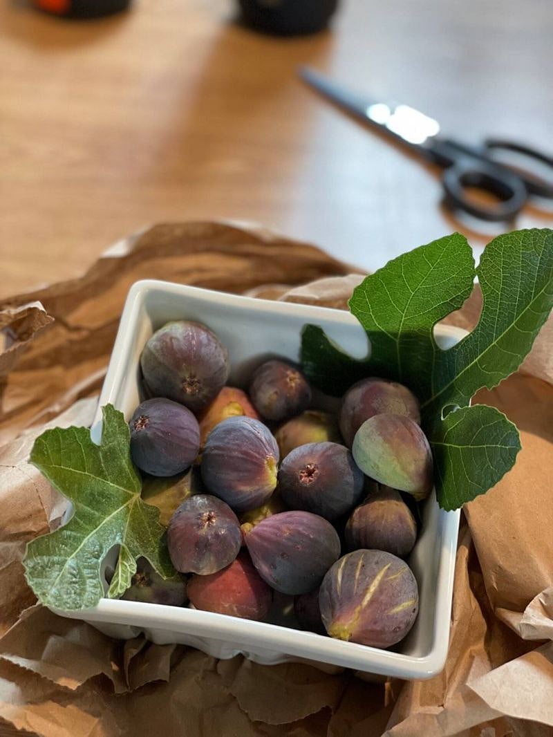 The summer's bounty en route to friends and family. Take some home if you stay with us this summer.