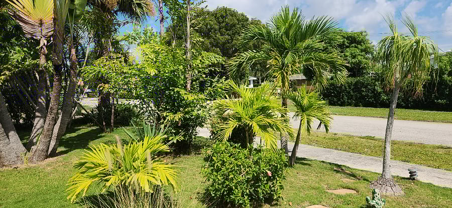 Furnished Finder property 504011_1 photo 3