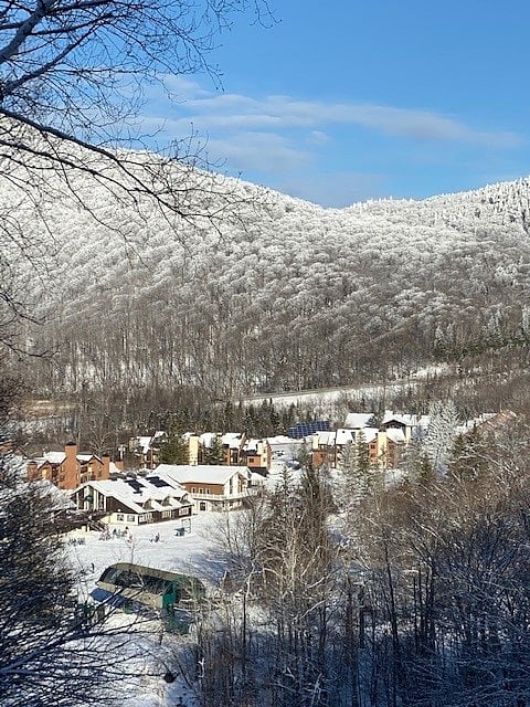 Pico Village