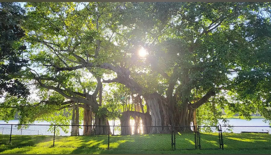 nearby park (2-min walk)