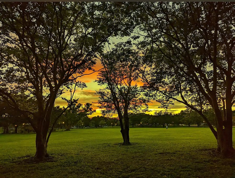 nearby park (2-min walk)
