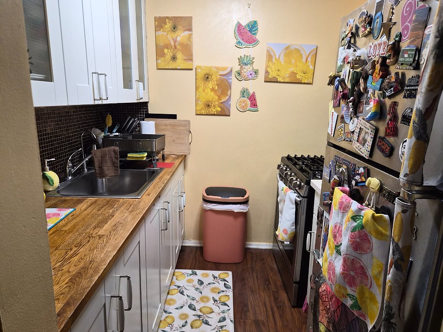 Furnished Finder property 504286_1 photo 4