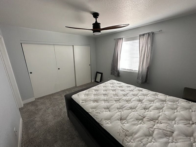 Furnished Finder property 504386_1 photo 15