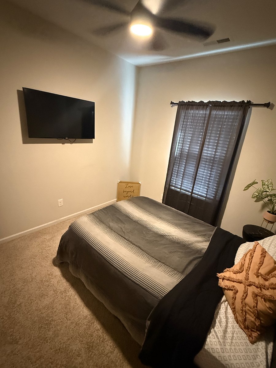 Furnished Finder property 504489_1 photo 15