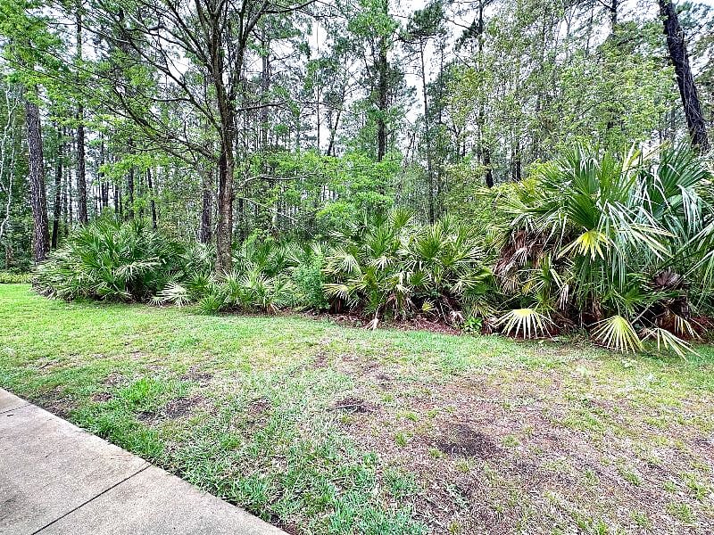Furnished Finder property 504616_1 photo 16