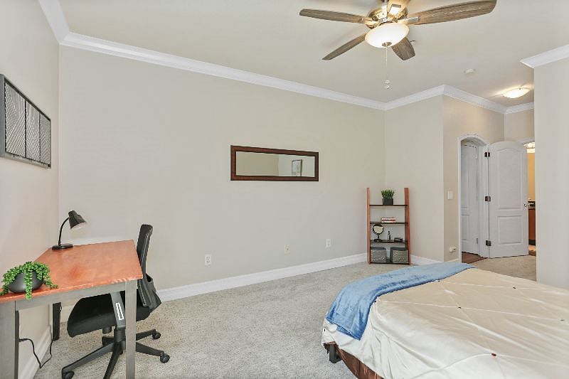 Furnished Finder property 504749_1 photo 19