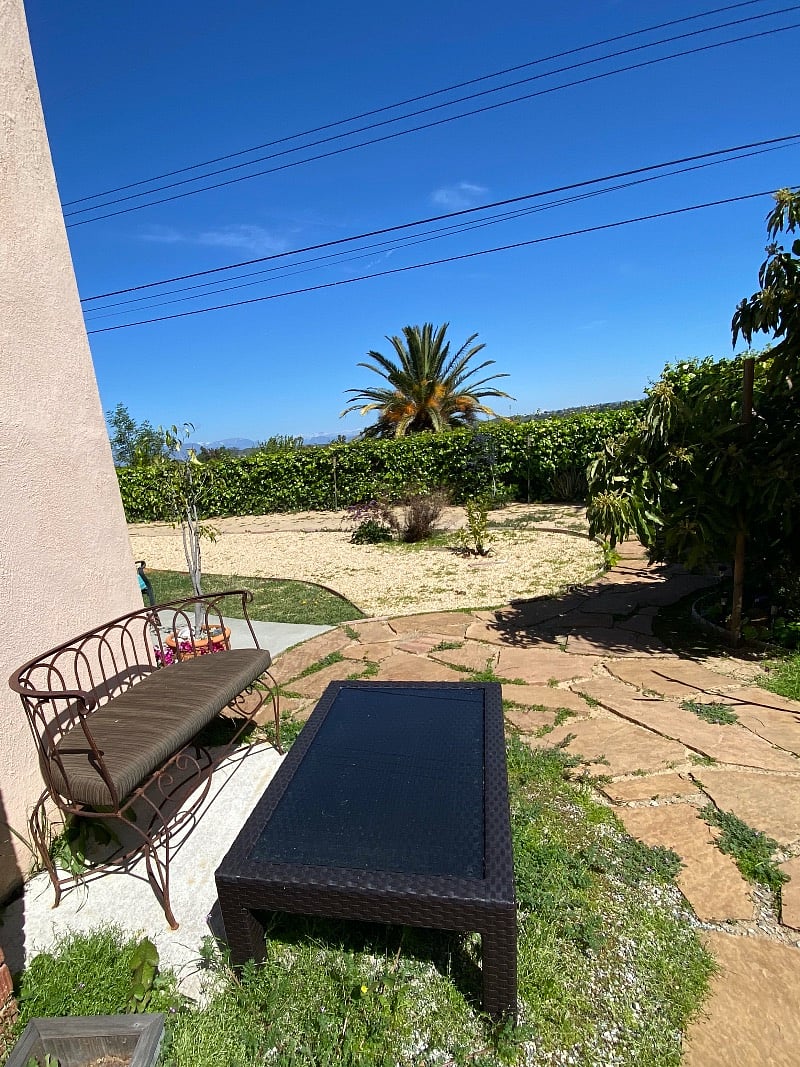 Looking north in the backyard