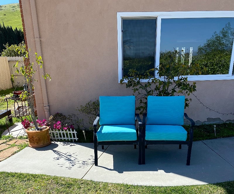 backyard too