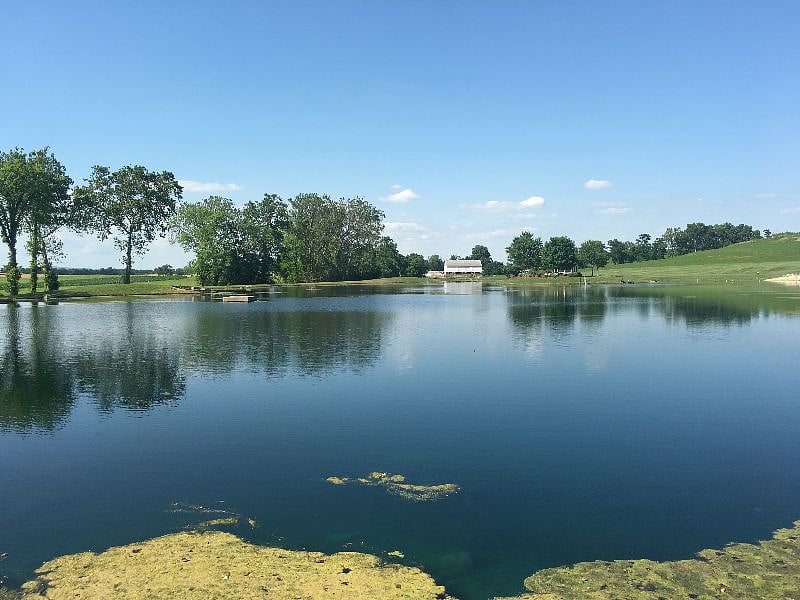 4 acre pond, please come sit and enjoy!