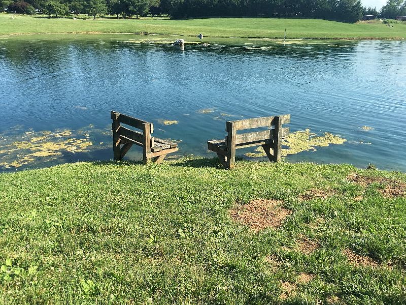 Pick a bench and enjoy a lazy day of fishing, or should I say catching! This pond is fully stocked! Dont forget to bring your rod!