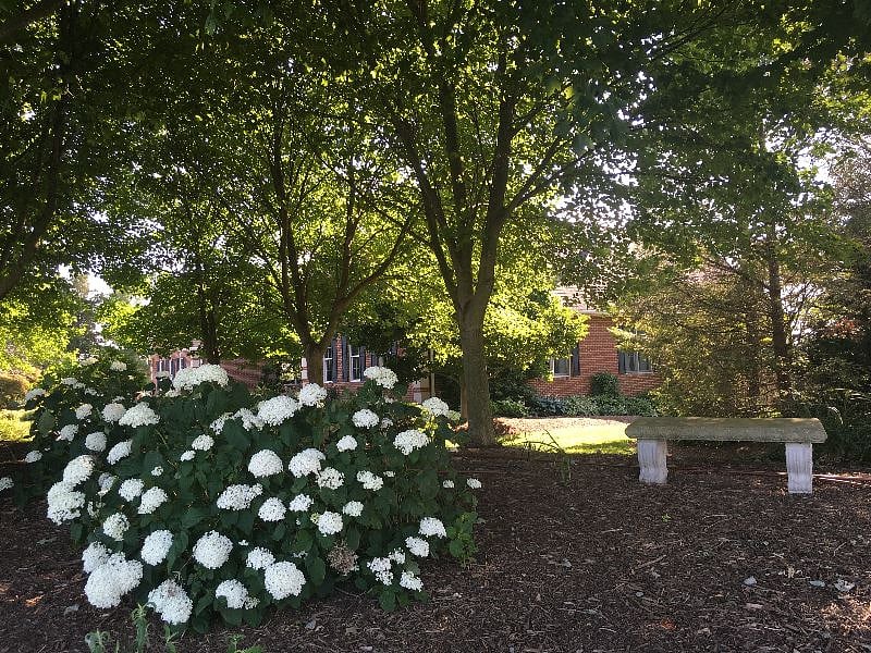 Sit here and enjoy the scenery, or there is a hammock out front. Relax after you have enjoyed a hike up Sugarloaf Mountain!