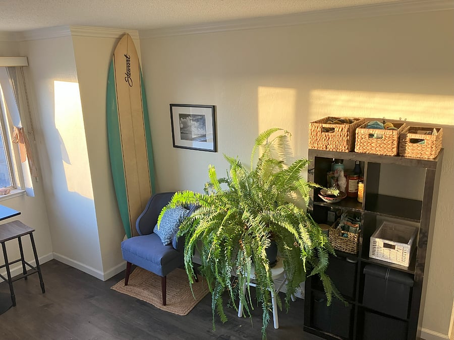 Furnished Finder property 504930_1 photo 11