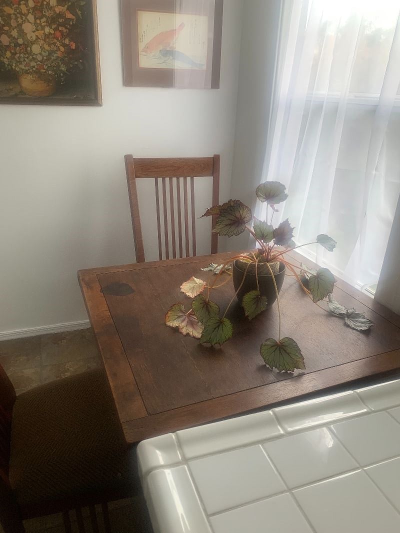 Furnished Finder property 504991_1 photo 14