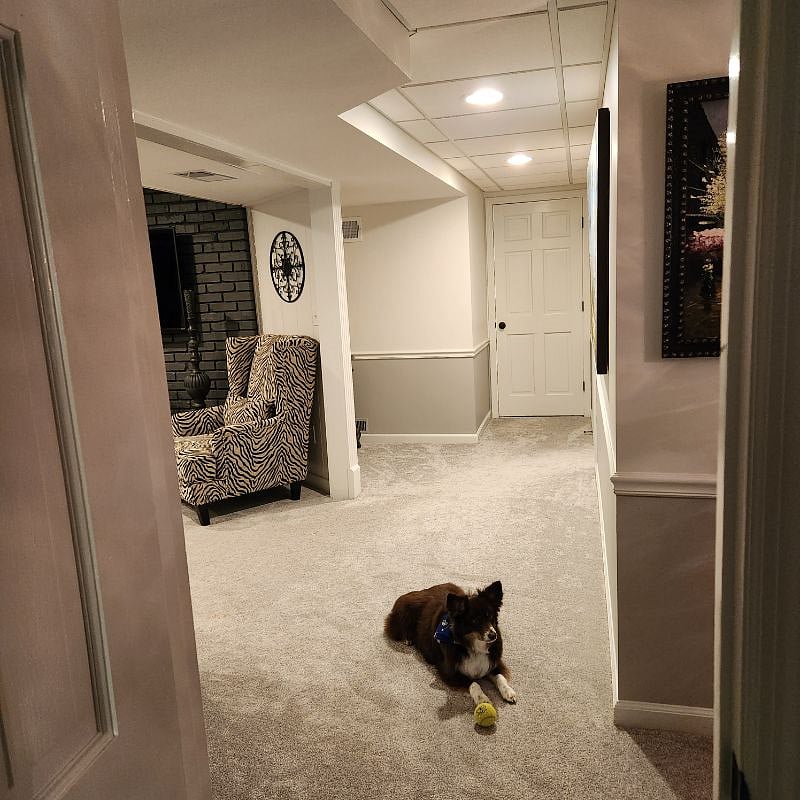 Furnished Finder property 505006_1 photo 22
