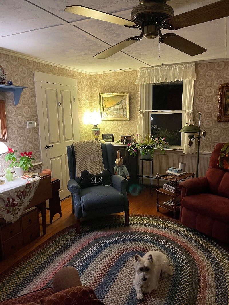 Furnished Finder property 505025_1 photo 14