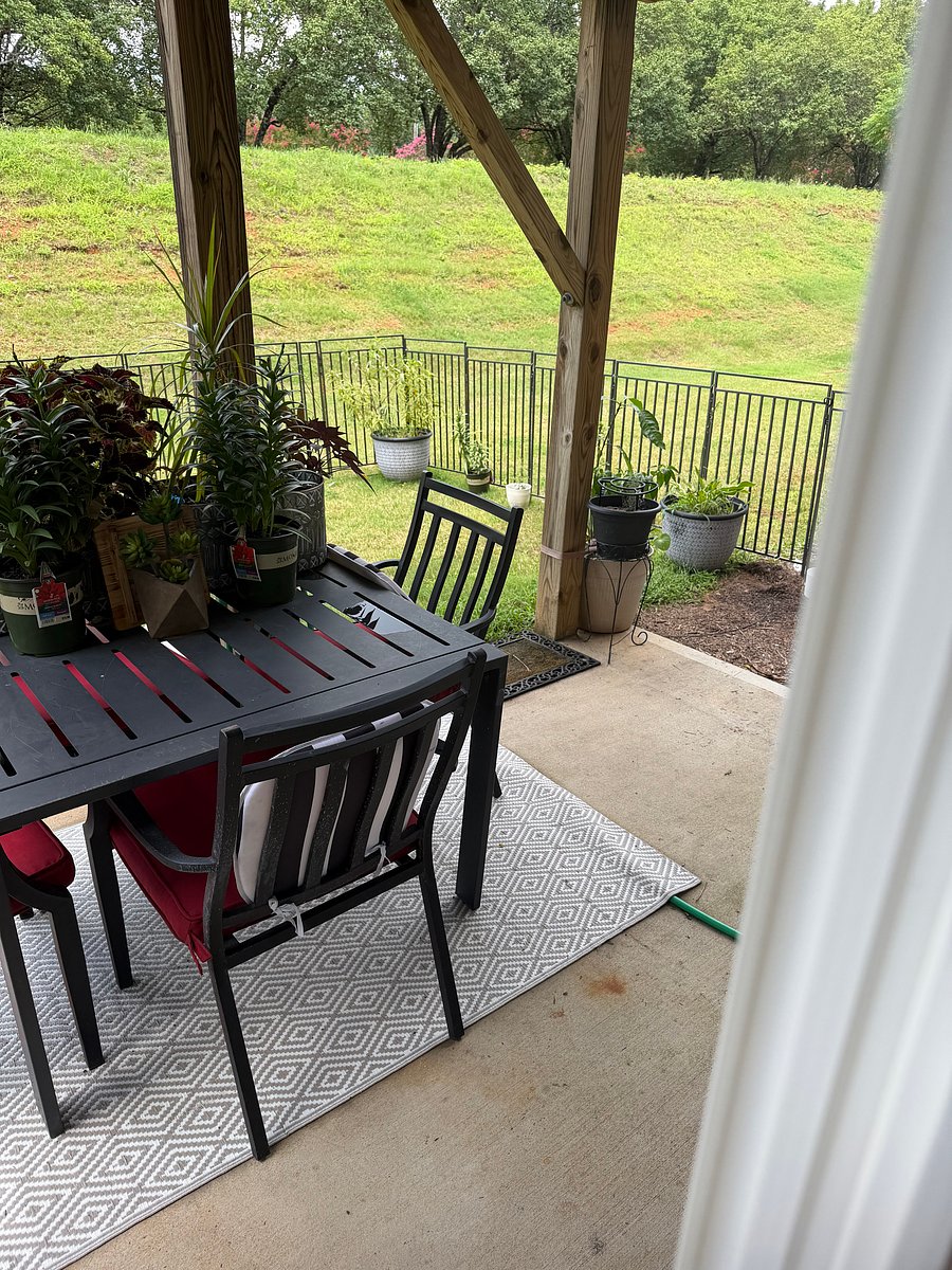 Furnished Finder property 505135_1 photo 23