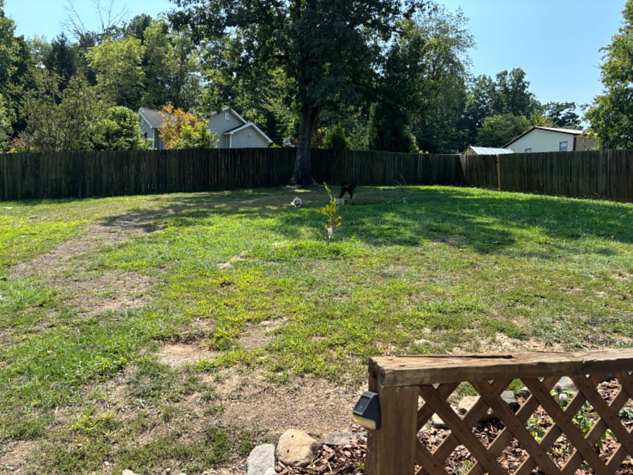 Furnished Finder property 505261_1 photo 10
