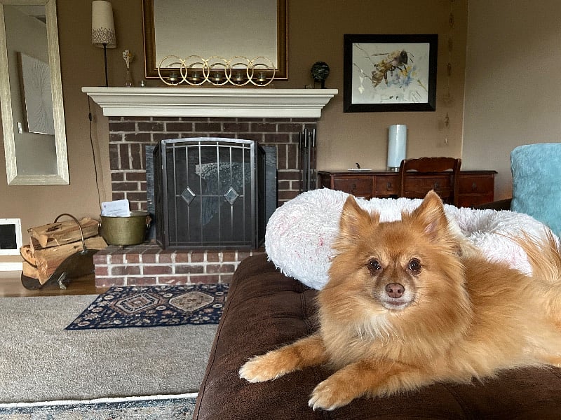 Furnished Finder property 505393_1 photo 9