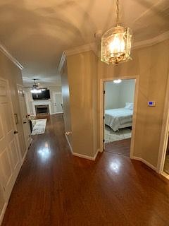 Furnished Finder property 505476_1 photo 3