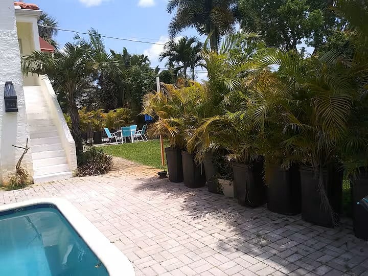 Furnished Finder property 505823_1 photo 31