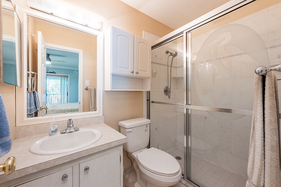Master walk-in Shower