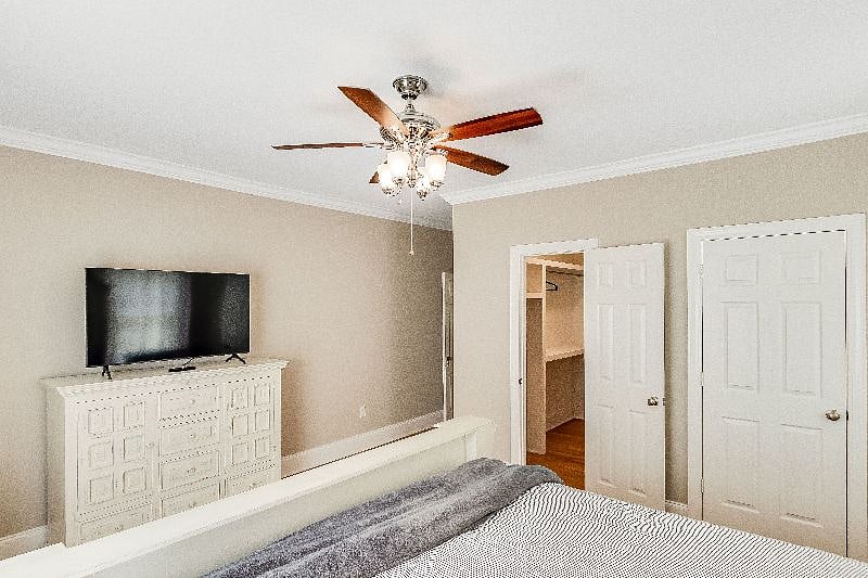 Furnished Finder property 506000_1 photo 19