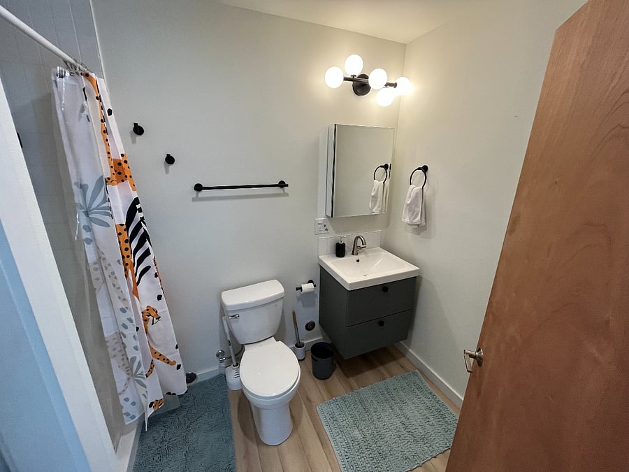 Furnished Finder property 506149_1 photo 9