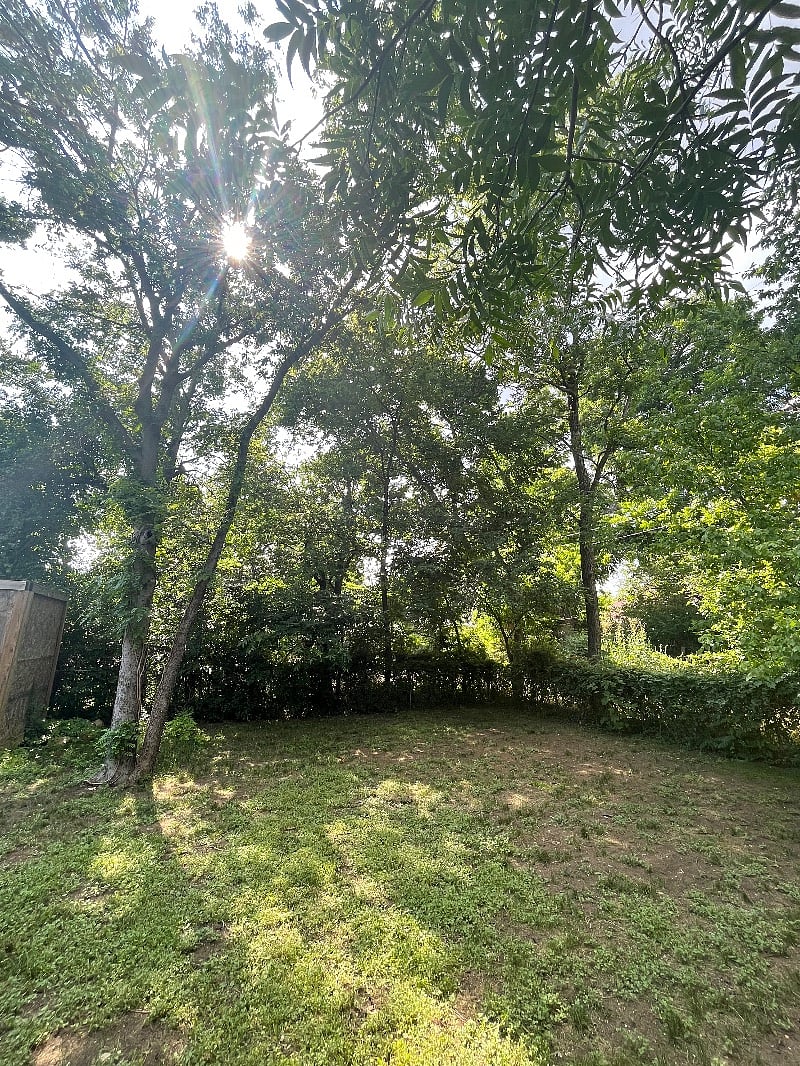 Furnished Finder property 506152_1 photo 17